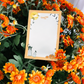 Halloween notepad resting on orange mums.