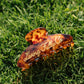 A tortoiseshell hair claw clip with gold cursive lettering that reads 'Living Fully Co', resting on a green grass background.